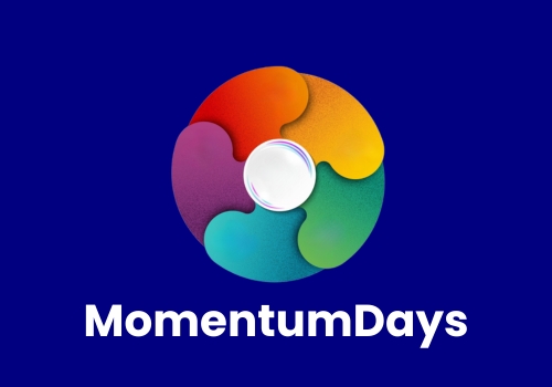 IMV Visualisierung MomentumDays